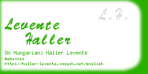 levente haller business card